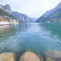 借问路人摇招手头像