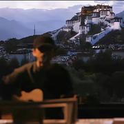 阿达只想搞钱的个人资料头像