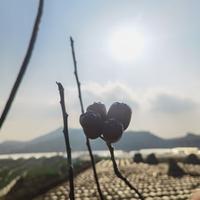 用户84562346头像