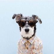 TongzhouDing的个人资料头像