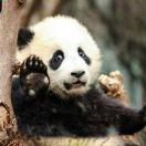 Huli90233的个人资料头像