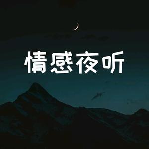 情感夜听FM头像