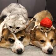 向着后方前进的个人资料头像