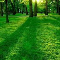 用户8102403327569头像