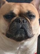 爱掘金嗳学习的个人资料头像