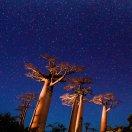 把喜欢的事做到极致的个人资料头像