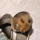 灿烂暖阳52U头像