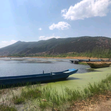 飓丰冷藏车刘盾头像