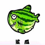 someday头像