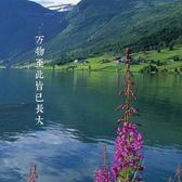绿色6746头像