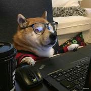 情意绵绵深几许的个人资料头像