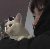 床头混剪头像