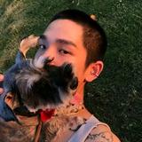 逍遥人生头像