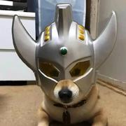 66616的个人资料头像