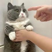 毛民9527的个人资料头像