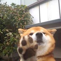 奶茶看电影nc头像