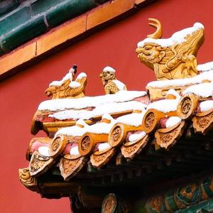 李立民3头像