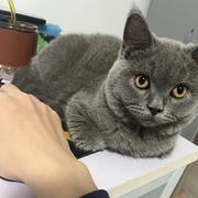 是双木林的学呀的个人资料头像