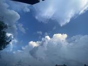 假装你还在这里的个人资料头像