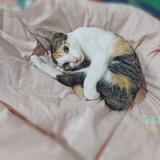 用户466883956158头像