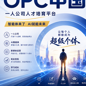 一人公司小王