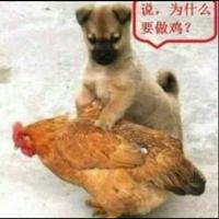 五十过半oxxc头像