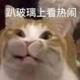 十三少女病i · 传祺GS8车主·车龄2年头像