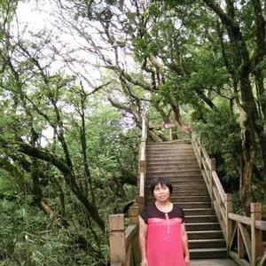 小嘎嘎爱车头像