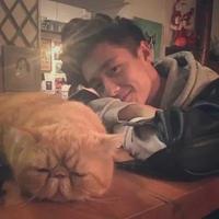 你们都是弟弟奥头像