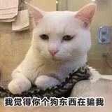 用户5910672580727头像