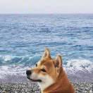 友同志的个人资料头像