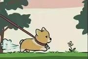 14332223的个人资料头像