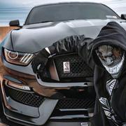 Aurora300的个人资料头像