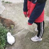 番茄2700040779081768头像