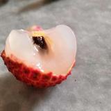 小小知了🌸🌸头像
