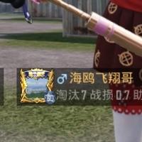 坦荡的船帆WG头像