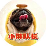 小胖队长头像