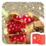 嘜穂w头像