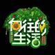 柳树成洲头像