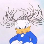 退潮了的个人资料头像