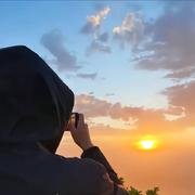 放飞的鸽子的个人资料头像