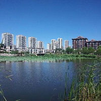 闲散一老翁头像