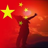 朱林强216头像