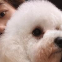 达不溜不歪头像