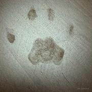 用户74757017719的个人资料头像