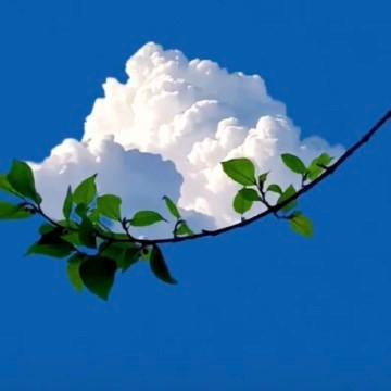 用户7518153810809头像