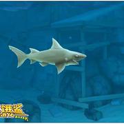 踏花忆锦年的个人资料头像