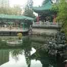 夜色匆匆的个人资料头像