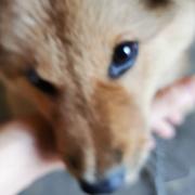 不懂斯文李二少的个人资料头像