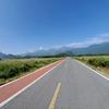 时髦小鱼hiD头像